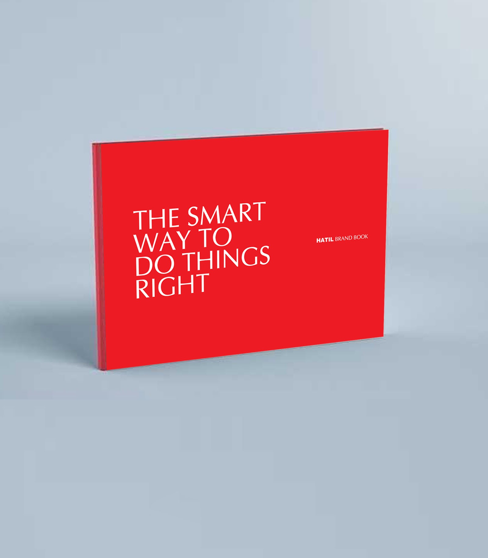 Brand Guideline For a Brand on Expansion Spree